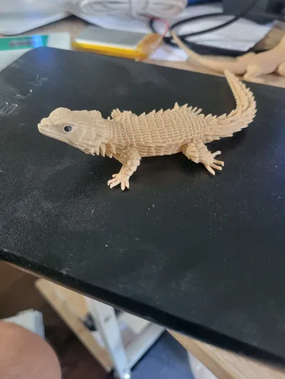 https://makerworld.bblmw.com/makerworld/comment/20260313/3642772525/783ba62ab60d34ca.jpg