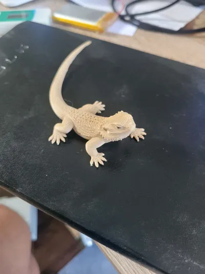 https://makerworld.bblmw.com/makerworld/comment/20260313/3642772525/a0c075e88e8f054e.jpg