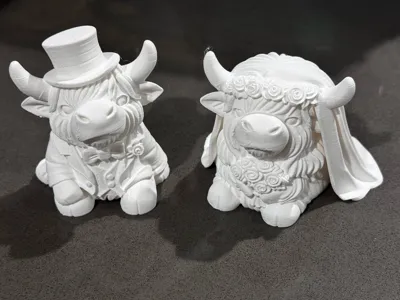 https://makerworld.bblmw.com/makerworld/comment/20260313/3802571611/0f6faf1a3dcfe875.jpg