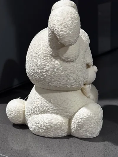https://makerworld.bblmw.com/makerworld/comment/20260313/3802571611/35f72de4893b1ce3.jpg