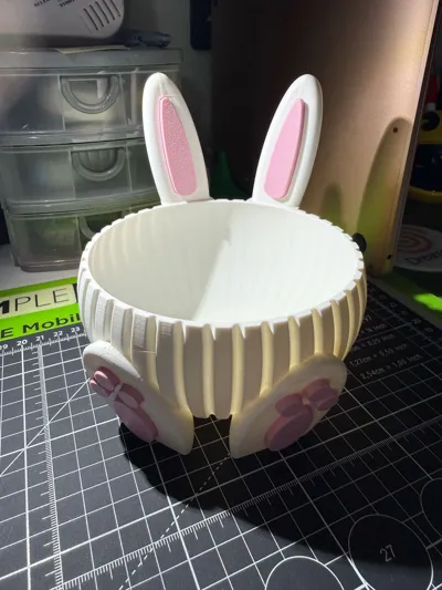 https://makerworld.bblmw.com/makerworld/comment/20260313/3841848686/51b320d866bd0b71.jpg