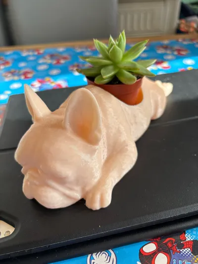 https://makerworld.bblmw.com/makerworld/comment/20260313/4268134374/dfe37870c874182d.jpg