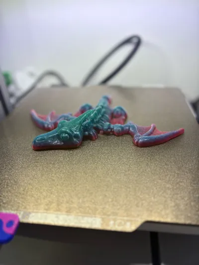 https://makerworld.bblmw.com/makerworld/comment/20260313/588292144/72c66116b066b044.jpg