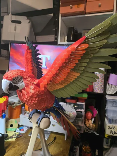 https://makerworld.bblmw.com/makerworld/comment/20260313/613602597/343867256a53c28a.jpg