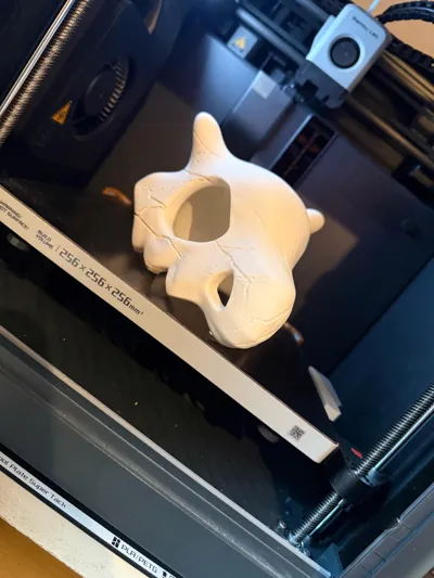 https://makerworld.bblmw.com/makerworld/comment/20260313/7712704/a16e2dca65300077.jpg