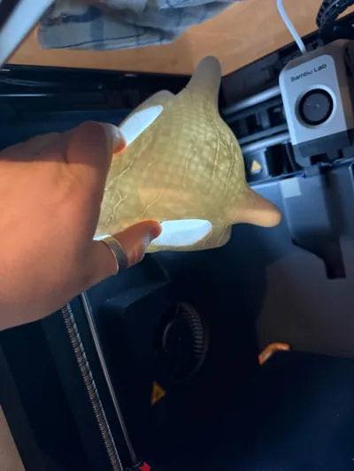 https://makerworld.bblmw.com/makerworld/comment/20260313/7712704/d7fd4daab2f61fcd.jpg