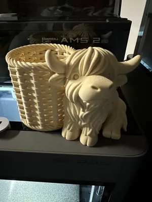 https://makerworld.bblmw.com/makerworld/comment/20260314/1225505359/69ca1033fa64e010.jpeg