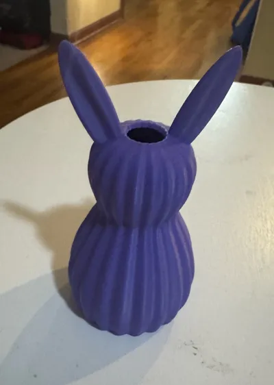 https://makerworld.bblmw.com/makerworld/comment/20260314/1462149199/540dfe415c5f2a8f.jpg