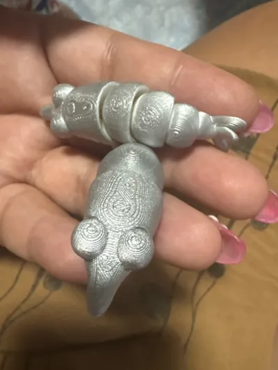 https://makerworld.bblmw.com/makerworld/comment/20260314/1642455262/19f29f2a6eeb6367.jpg