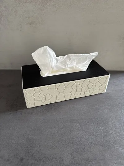 https://makerworld.bblmw.com/makerworld/comment/20260314/1777419991/20fb99987e32da79.jpg