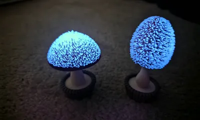 https://makerworld.bblmw.com/makerworld/comment/20260314/2068308792/94518f6346f6ddde.jpg