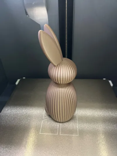 https://makerworld.bblmw.com/makerworld/comment/20260314/2105196673/d0c637ac86332dba.jpg
