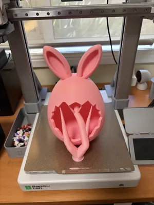 https://makerworld.bblmw.com/makerworld/comment/20260314/2297592699/1012fe9bbcbd4584.jpeg