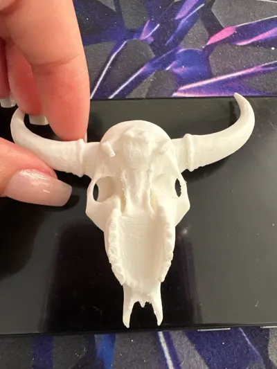 https://makerworld.bblmw.com/makerworld/comment/20260314/2364627078/e6b185977e73cfae.jpg