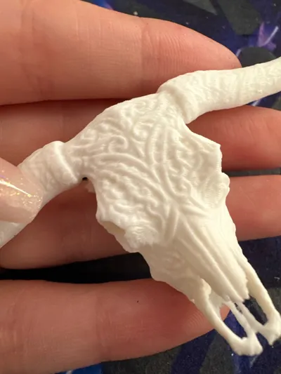 https://makerworld.bblmw.com/makerworld/comment/20260314/2364627078/f7957dec6c9bc022.jpg