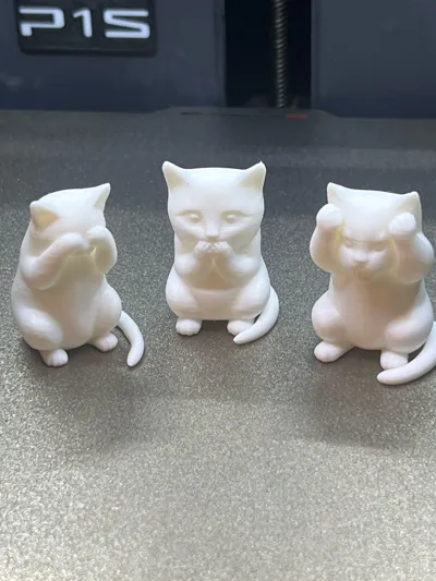 https://makerworld.bblmw.com/makerworld/comment/20260314/245837908/97af3acd3268bbb4.jpg