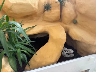 https://makerworld.bblmw.com/makerworld/comment/20260314/2688994489/4c1fa31b9fd04e8f.jpg