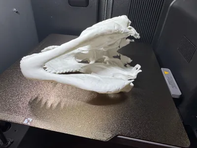 https://makerworld.bblmw.com/makerworld/comment/20260314/2688994489/8d3d0ba4a7bf06ee.jpg