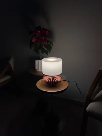 https://makerworld.bblmw.com/makerworld/comment/20260314/3288567533/1e2666353e9abc39.jpg