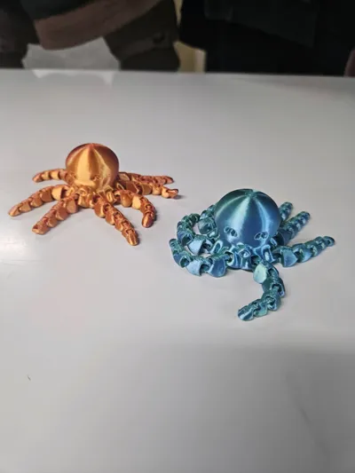 https://makerworld.bblmw.com/makerworld/comment/20260314/3506573630/865b94800cbcb34b.jpg