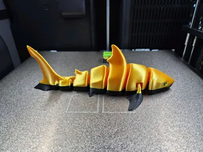 https://makerworld.bblmw.com/makerworld/comment/20260314/4159777741/2478f067deacbe1f.jpg