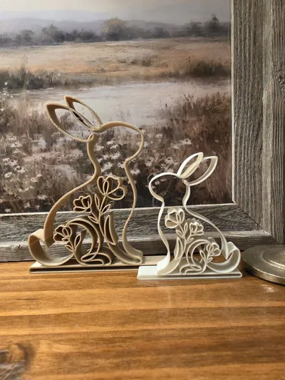 https://makerworld.bblmw.com/makerworld/comment/20260314/4252276823/a3355a22e32bb1dd.jpg