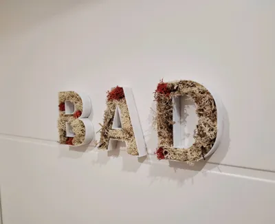 https://makerworld.bblmw.com/makerworld/comment/20260314/978668349/48d2484edcc07949.jpg