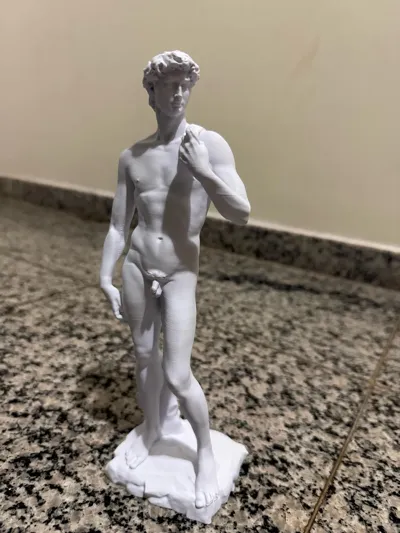 https://makerworld.bblmw.com/makerworld/comment/20260314/987468538/65b623a40f63fe37.jpg