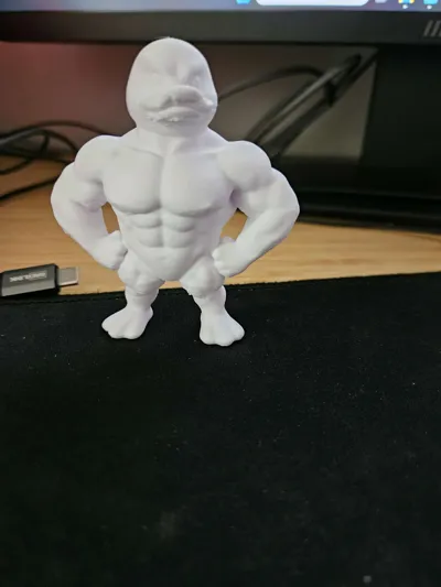 https://makerworld.bblmw.com/makerworld/comment/20260315/112025135/2f5f40ff3ca755df.jpg