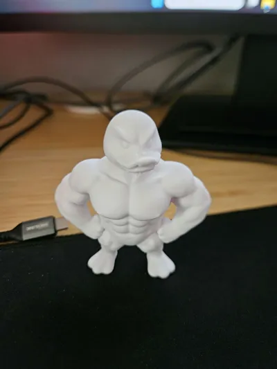 https://makerworld.bblmw.com/makerworld/comment/20260315/112025135/817f01ab5b84557c.jpg