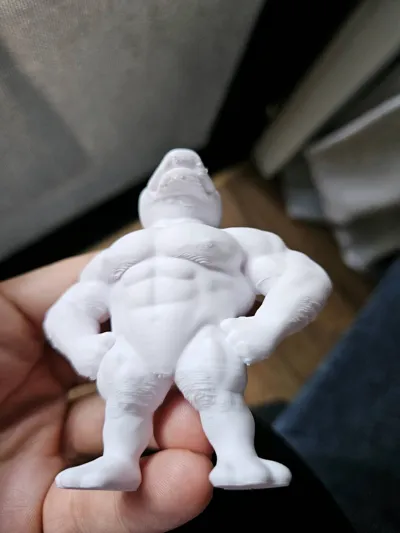 https://makerworld.bblmw.com/makerworld/comment/20260315/112025135/8fe8d712a7bc57df.jpg