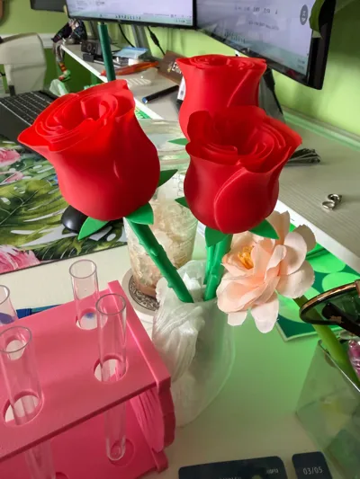 https://makerworld.bblmw.com/makerworld/comment/20260315/1433190903/96334f440179091a.jpg