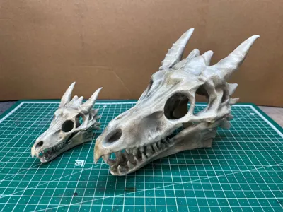 https://makerworld.bblmw.com/makerworld/comment/20260315/1481497378/266489a30b6b0a1d.jpg