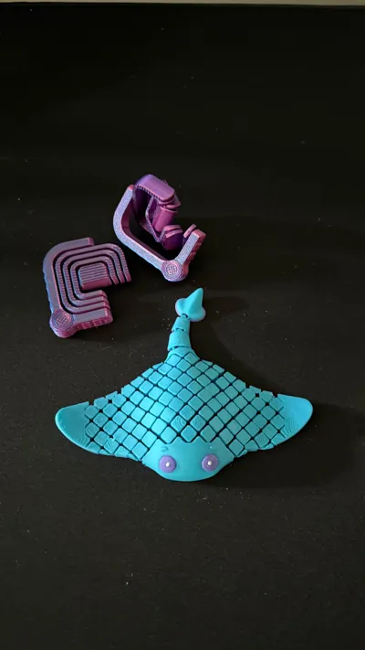 https://makerworld.bblmw.com/makerworld/comment/20260315/1498808947/9566c012749732f0.jpg