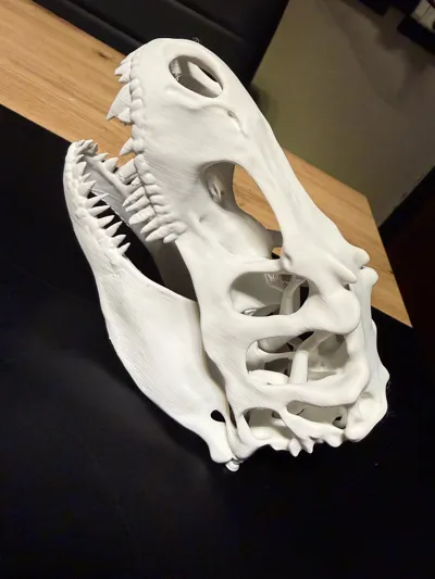 https://makerworld.bblmw.com/makerworld/comment/20260315/162811286/f39eaa79d9dc1f4d.jpg