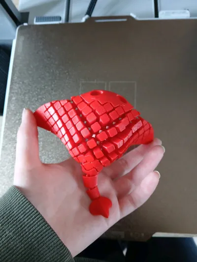 https://makerworld.bblmw.com/makerworld/comment/20260315/1705399575/0901a8cbf2c85905.jpg