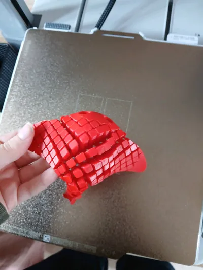 https://makerworld.bblmw.com/makerworld/comment/20260315/1705399575/77788e9953c27733.jpg