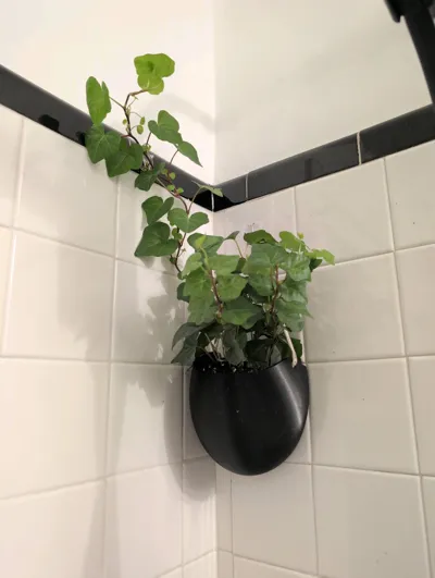 https://makerworld.bblmw.com/makerworld/comment/20260315/1879193533/65c2c28185231a8d.jpg