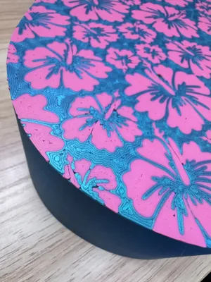 https://makerworld.bblmw.com/makerworld/comment/20260315/1942233297/7af1bbdaae9d8b0a.jpeg