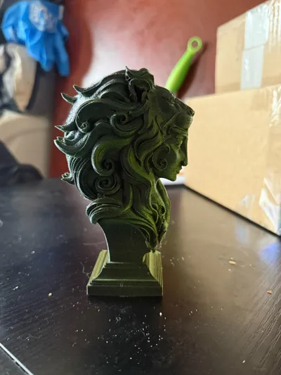 https://makerworld.bblmw.com/makerworld/comment/20260315/2036049717/4dc2d676bcc169c1.jpg