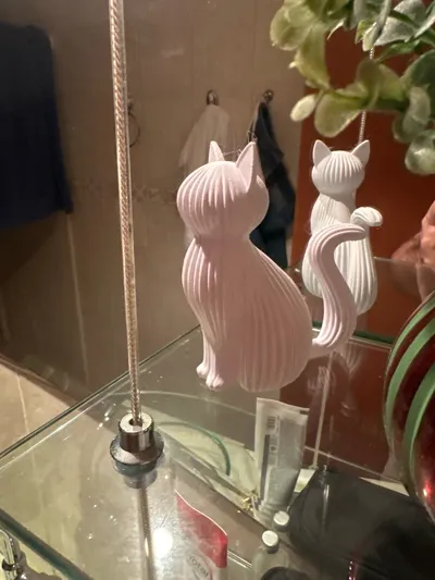 https://makerworld.bblmw.com/makerworld/comment/20260315/2472932612/d811d3a5f7178cd2.jpg