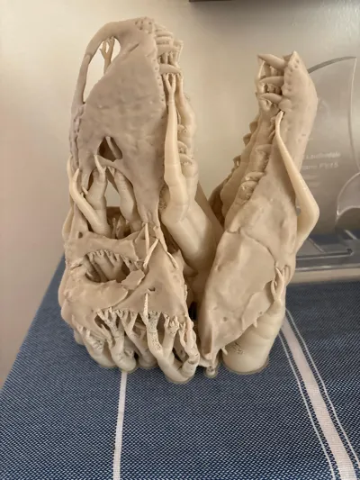 https://makerworld.bblmw.com/makerworld/comment/20260315/2501032712/7fba7a22e2a37cc1.jpg