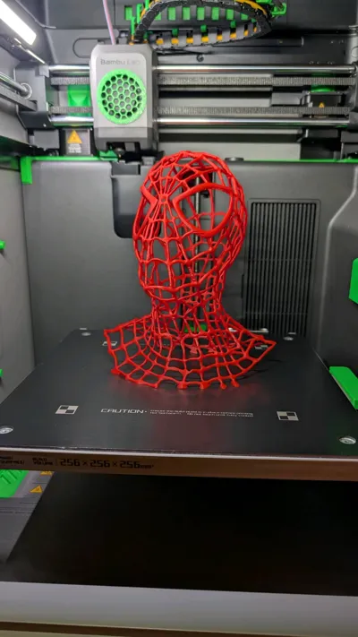https://makerworld.bblmw.com/makerworld/comment/20260315/2632622235/f3b7359fc5ab19c8.jpg