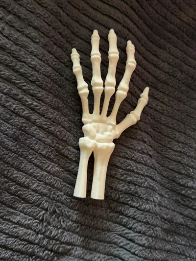 https://makerworld.bblmw.com/makerworld/comment/20260315/2789222644/25b52d0ebcf9c7a4.jpg