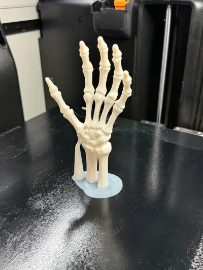 https://makerworld.bblmw.com/makerworld/comment/20260315/2789222644/324b08b9a709563c.jpg