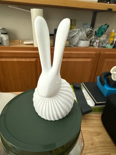 https://makerworld.bblmw.com/makerworld/comment/20260315/3096738302/ad3f9e6035f0aa37.jpg