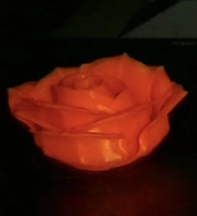 https://makerworld.bblmw.com/makerworld/comment/20260315/3203804292/12c7937ce92e9631.jpg