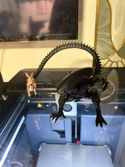 https://makerworld.bblmw.com/makerworld/comment/20260315/3297934553/ce14c953cdf45f92.jpg