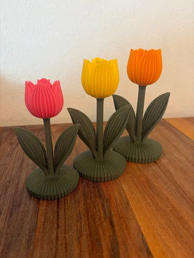 https://makerworld.bblmw.com/makerworld/comment/20260315/3338646555/5e5675f34c946872.jpg