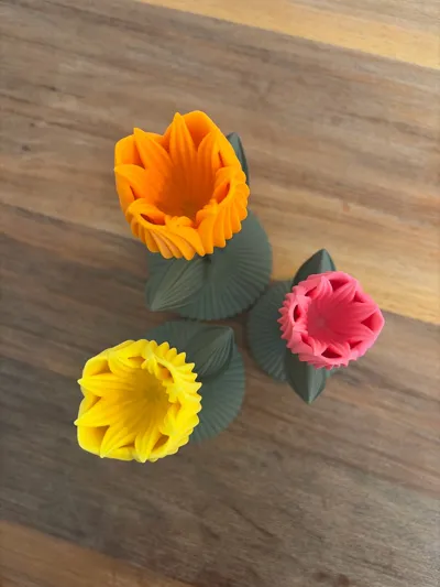 https://makerworld.bblmw.com/makerworld/comment/20260315/3338646555/6b715d81f4094501.jpg